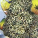 JET FUEL GELATO