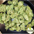 $99 GG1 Prepack OZ
