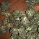 GOLDEN GLUE