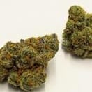 Amnesia haze