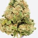 Sour Diesel( TOP SHELF)