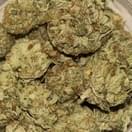 Lemonder (PREMIUM)