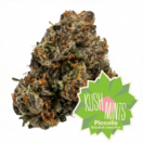 Kush Mints Piccolis
