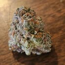 Gelonade - Sativa THC 25%