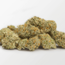 Blackberry x Blueberry #5