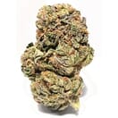 Critical Cure (PREMIUM)