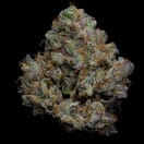 King Louis XIII - Indica THC 31%