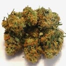 Sour Diesel