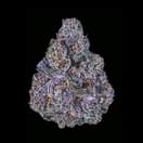 EXOTIC - BLACK RUNTZ