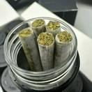 Exotic House Prerolls