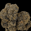 Purple Kush (Designer)