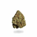 Sour Bubble (PREMIUM)