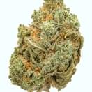 Allien cookie (top shelf)