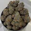 Pink Panties|Green Dawg Cultivators