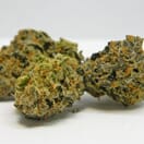 **Cherry Pie**