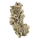 Black Cherry