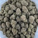 Biscotti Sherbet indoor AAA