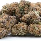Sour Diesel (exotic)