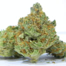 *Pre '98 Bubba Kush*