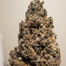 Girl Scout Cookies