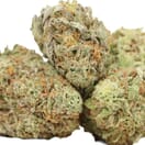 WHITE WIDOW (PREMIUM)