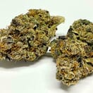 Acapulco Gold