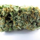 B3 Medical