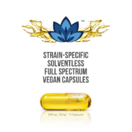 Advesa | Hashberry full spectrum solventless 10 caps | 250mg total cannabinoids