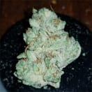 Lava Cake