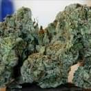 Island Sweet Skunk (Top-Shelf)