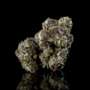 Apple Fritter