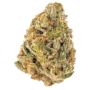 Alien Cookies (top shelf)