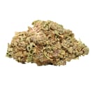 Trainwreck (PREMIUM)
