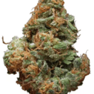 Blue Cheese (Designer)