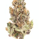Honeydew Farm - SPK