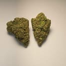 Tropical Punch (PREMIUM)