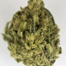 ALIEN XXX OG - 5 GRAMS