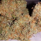 Black Jack