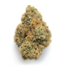 Venom OG