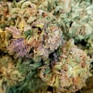 Blueberry