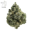 Lemon Tart Pucker Sativa - 38% THC Designer Exclusive