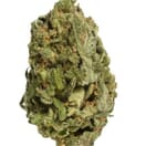 Bake Sale - All Purpose Flower Sativa 1x28g >S