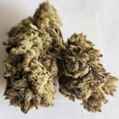 Peanut Butter Mint - Exotic SMALLS