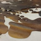 Pull-snap - Girl Scout Cookies