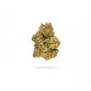 Beaverton Farms | Colorado Clementine