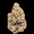 Ghost Train Haze