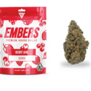 Berry Jane - 7g Smalls (Ember Valley)