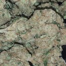 Chemdawg #4 - High Valley Farms