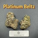 Platinum Beltz---Designer