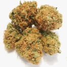 Purple Alien Dawg